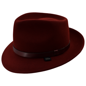 Mark C. Fedora