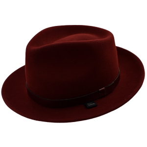 Mark C. Fedora