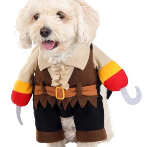Pirate Pet Costume