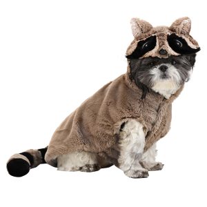Raccoon Dog Costume