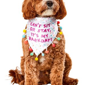 Sprinkle Birthday Bandana Pet Costume