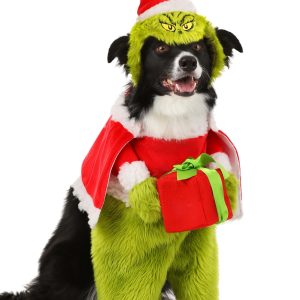The Grinch Santa Pet Costume