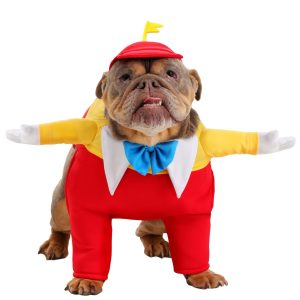 Disney Alice in Wonderland Pet Tweedle Dee Costume