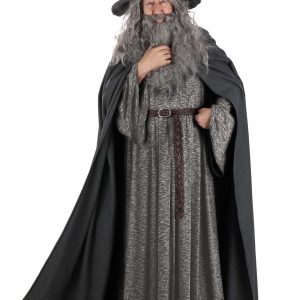 Plus Size Gandalf Lord of the Rings Costume for Men