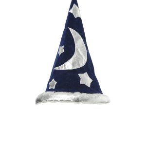Wizard Kids Hat