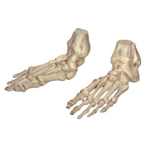 7-Inch Skeleton Human Feet Prop Decoration