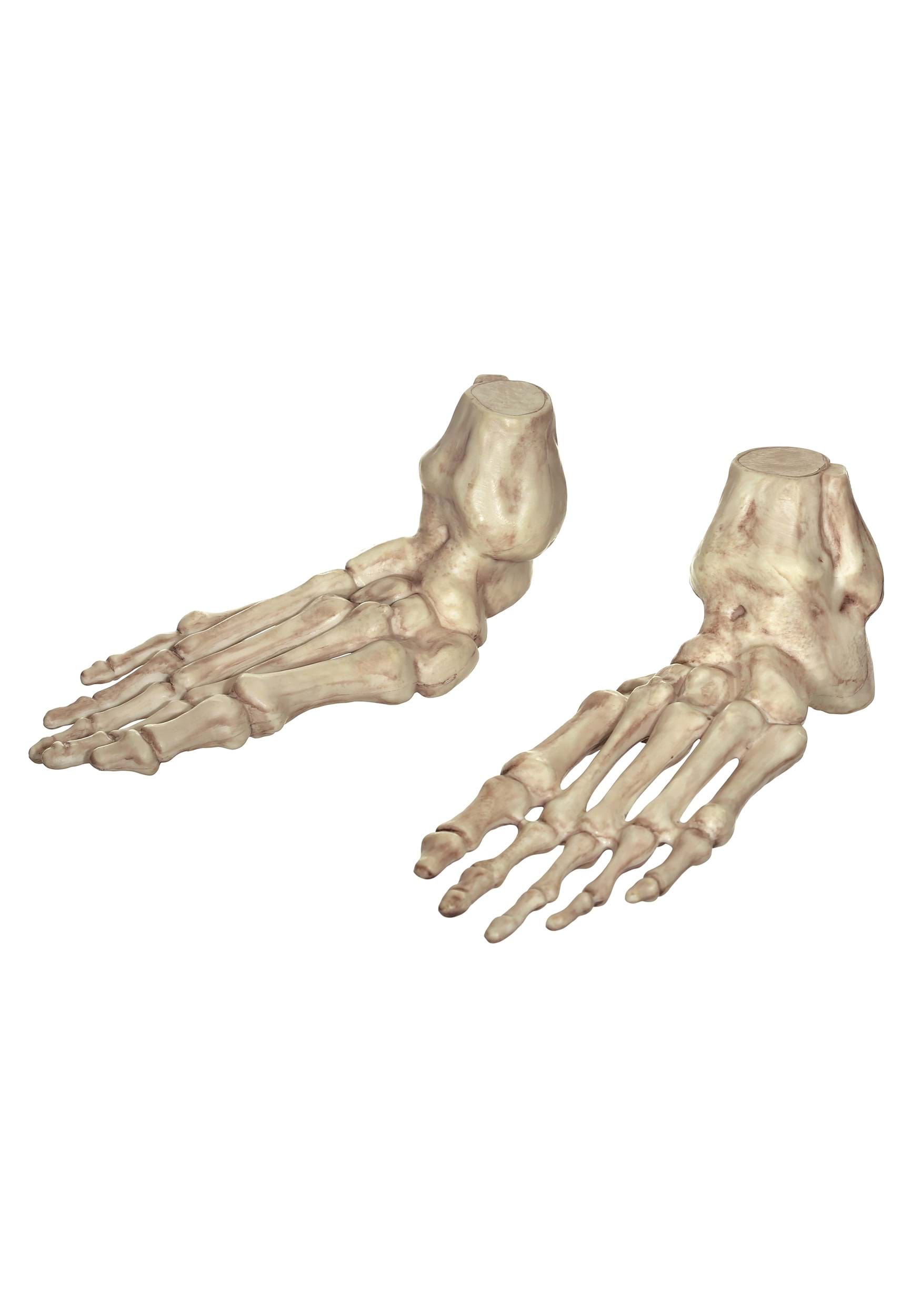 7-Inch Skeleton Human Feet Prop Decoration