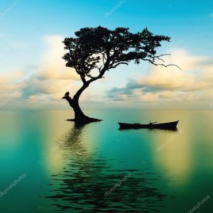 Beautiful nature landscape
