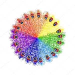 Card of mandala with feather peacock.