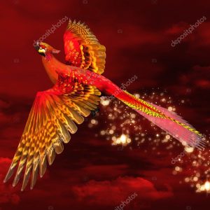 Phoenix through a red sky