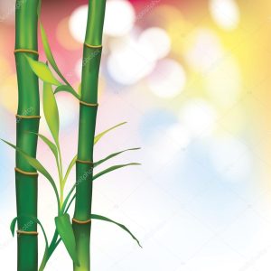 Spa Background with Bamboo