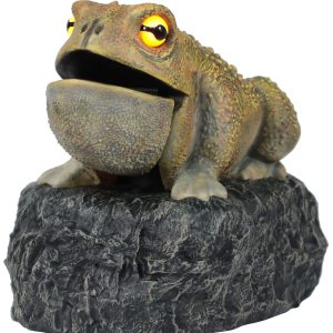 Croaking Toad Light Up Decoration