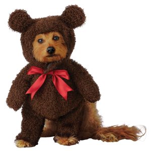 Teddy Bear Costume for Pets