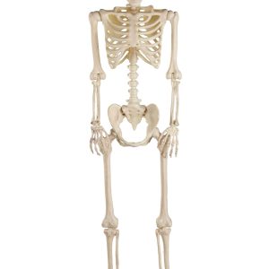 5FT Deluxe Light Up Eyes & Talking Skeleton Decoration