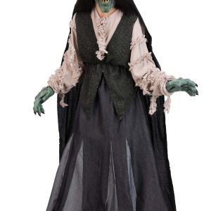 Adult Premium Evil Green Witch Costume