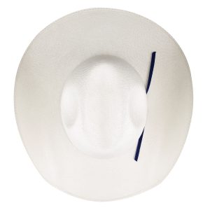 Arriba 20X Cowboy Hat