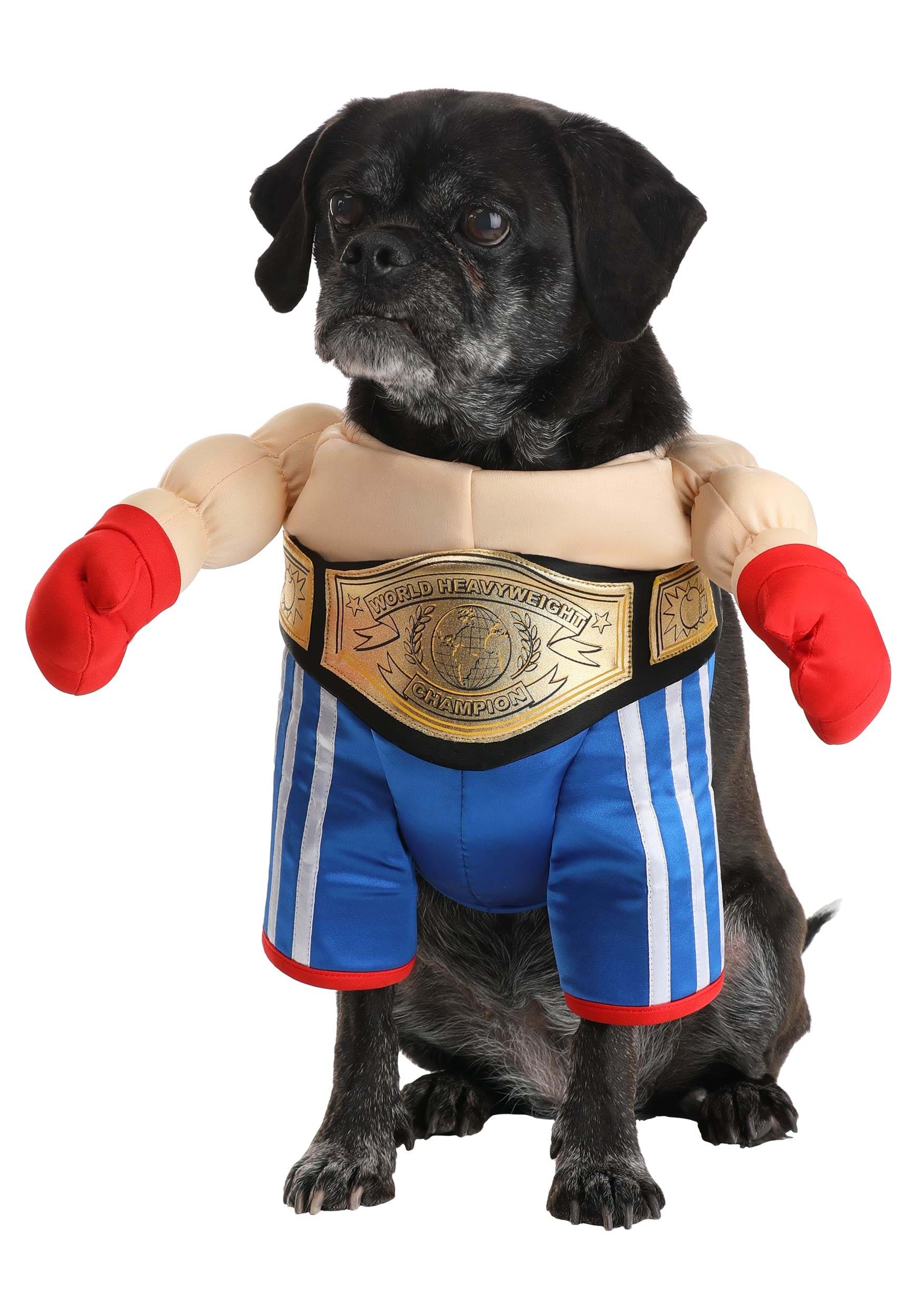 Champion Boxer Costume for Pets