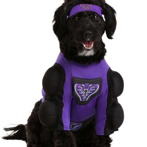 Dodgeball Pet Globo Gym Costume