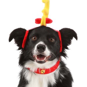 Dr. Seuss Grinch Max Dog Costume