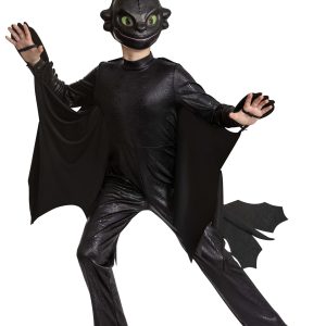 How to Train Your Dragon Boy's Toothless Deluxe Costume