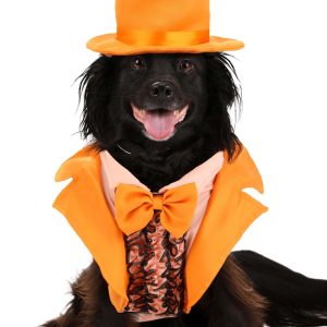 Iconic Orange Tuxedo Pet Costume