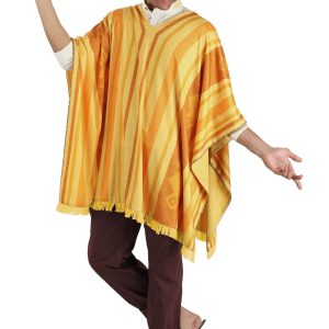 Men's Disney Encanto Camilo Costume