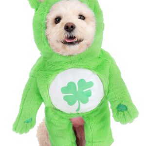 Pet Care Bears Good Luck Bear Costume