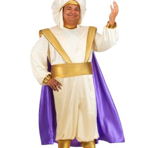 Plus Size Disney Aladdin Prince Ali Costume for Men