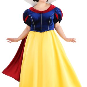 Plus Size Disney Snow White Women's Costume