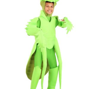 Praying Mantis Costume for Kids