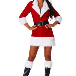 Secret Santa Costume for Women