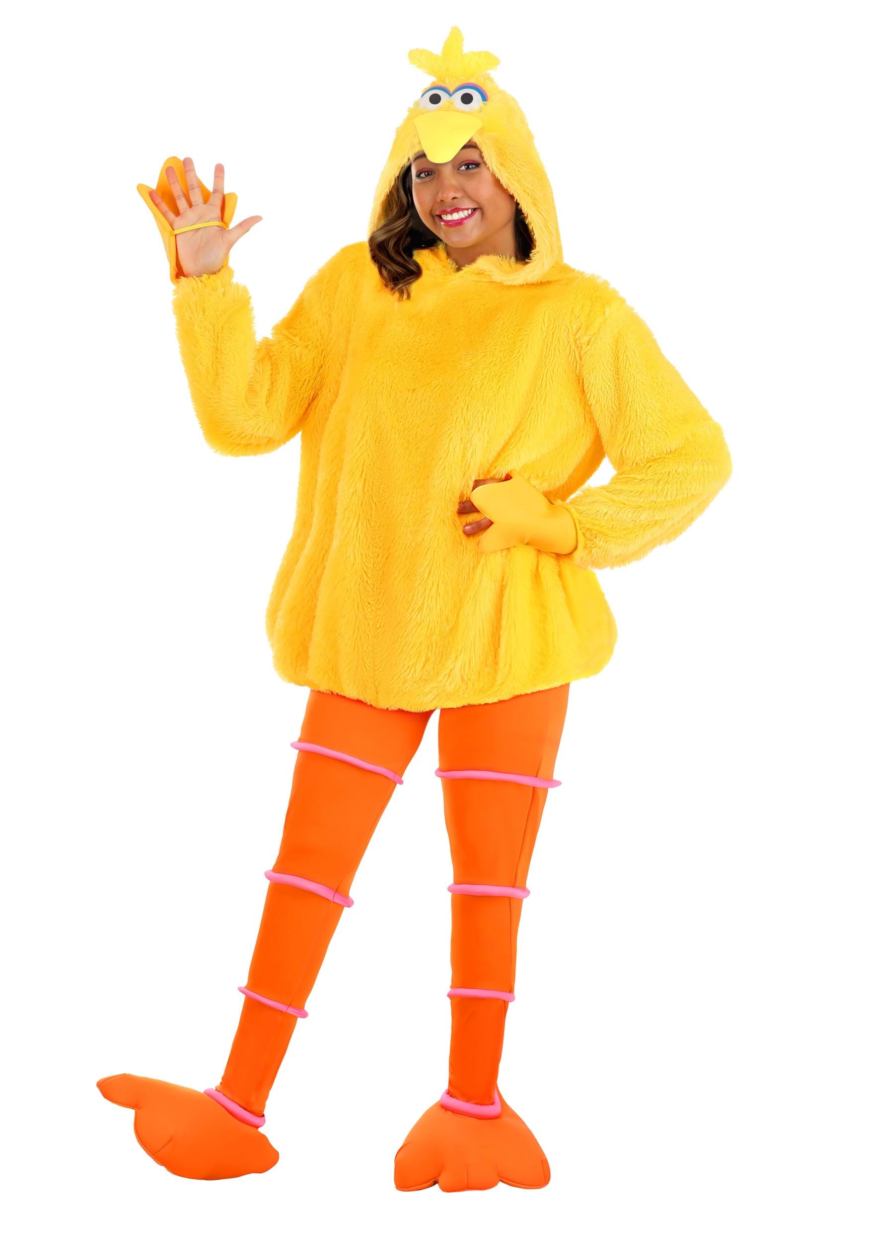Sesame Street Cozy Big Bird Women's Costume
