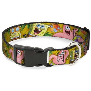 Spongebob & Patrick in Gold Pineapple Pet Collar