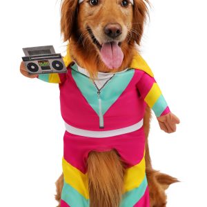 Track Suit 1980s Pet Costume