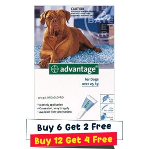 Advantage Extra Large Dogs Over 55 Lbs (Blue) 4 Doses