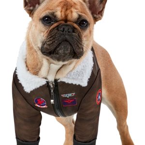 Top Gun Costume for Dogs