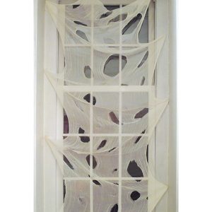 Webbed Window Cloth