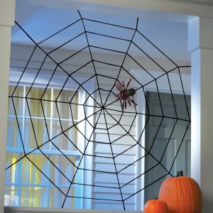 5 Foot Black Widow Rope Web Prop