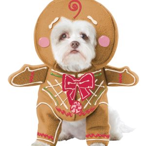 Gingerbread Costume for Dog's