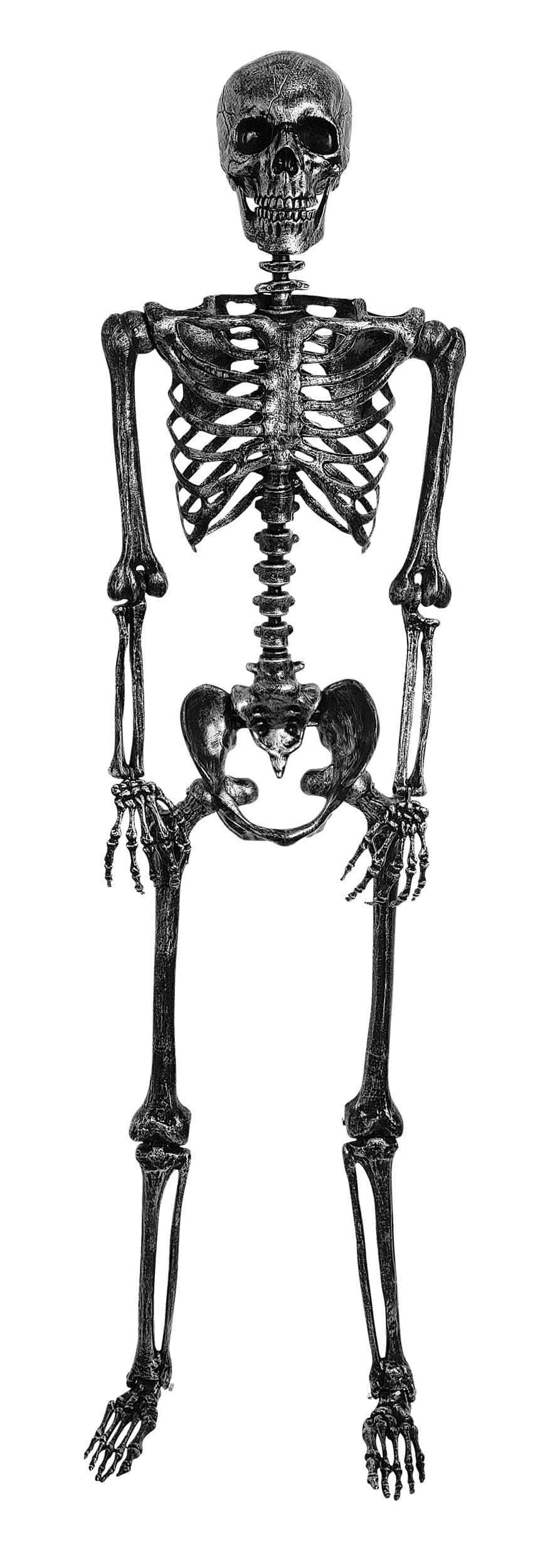5FT Life Size Dark Grey Skeleton Decoration