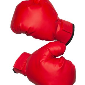 Adult Red Boxing Gloves