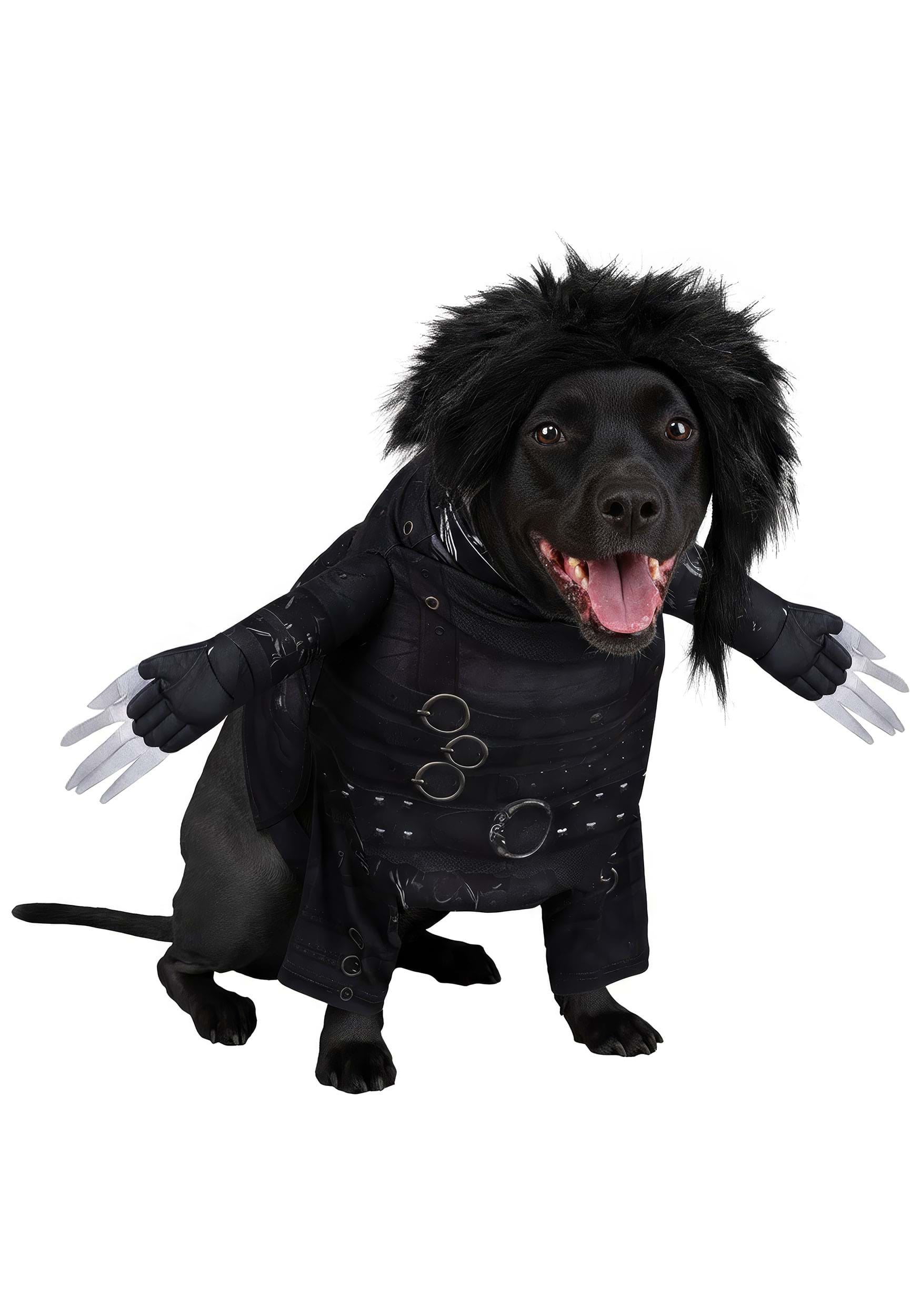 Edward Scissorhands Costume for Pets