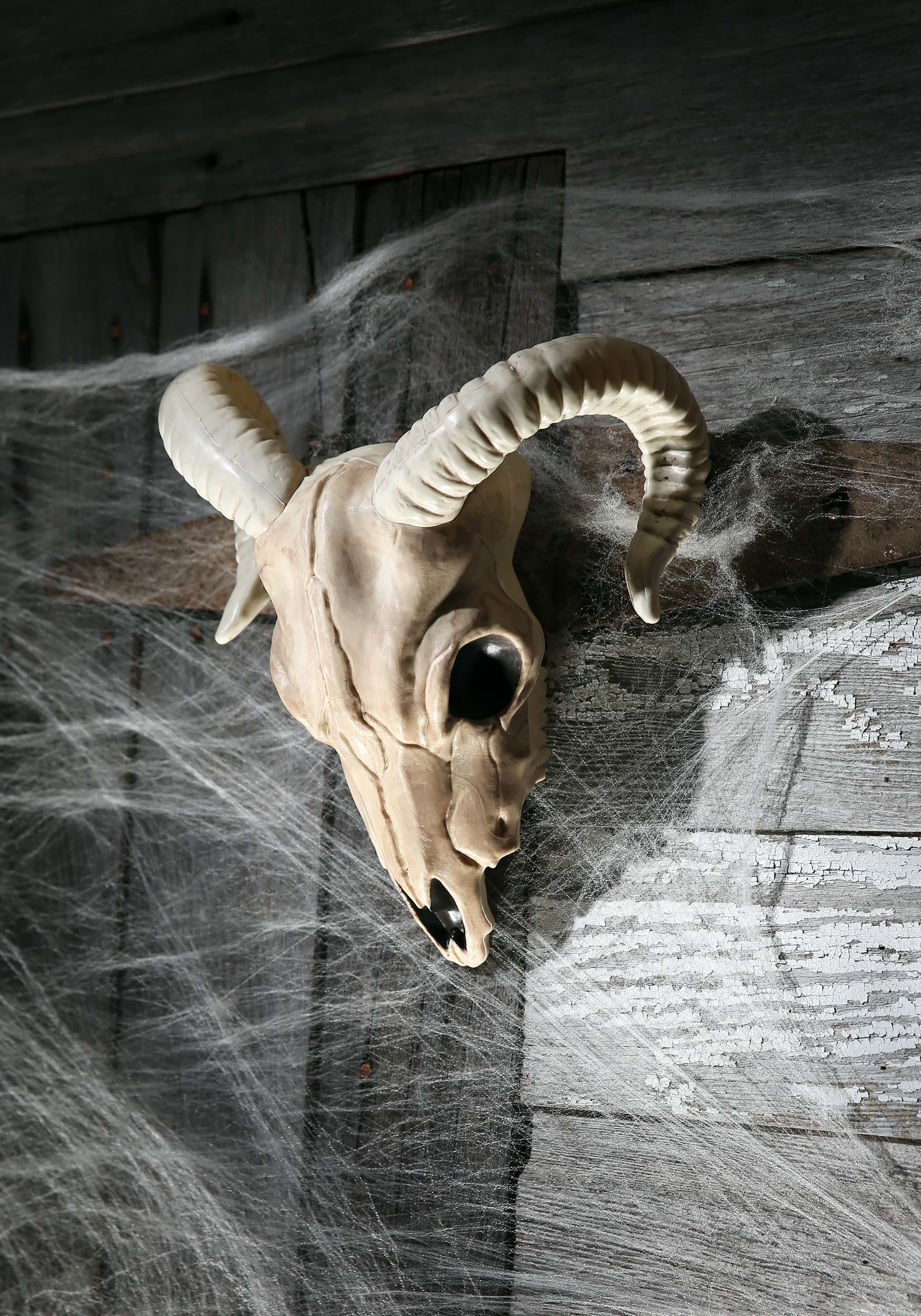 13-Inch Plastic Skull Ram Decoration