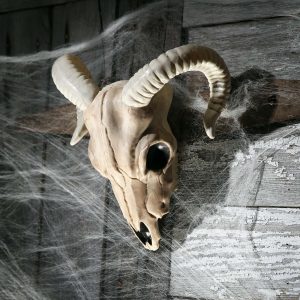 13-Inch Ram Plastic Skull Decoration