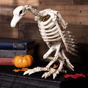 14-Inch Skeleton Vulture Decoration