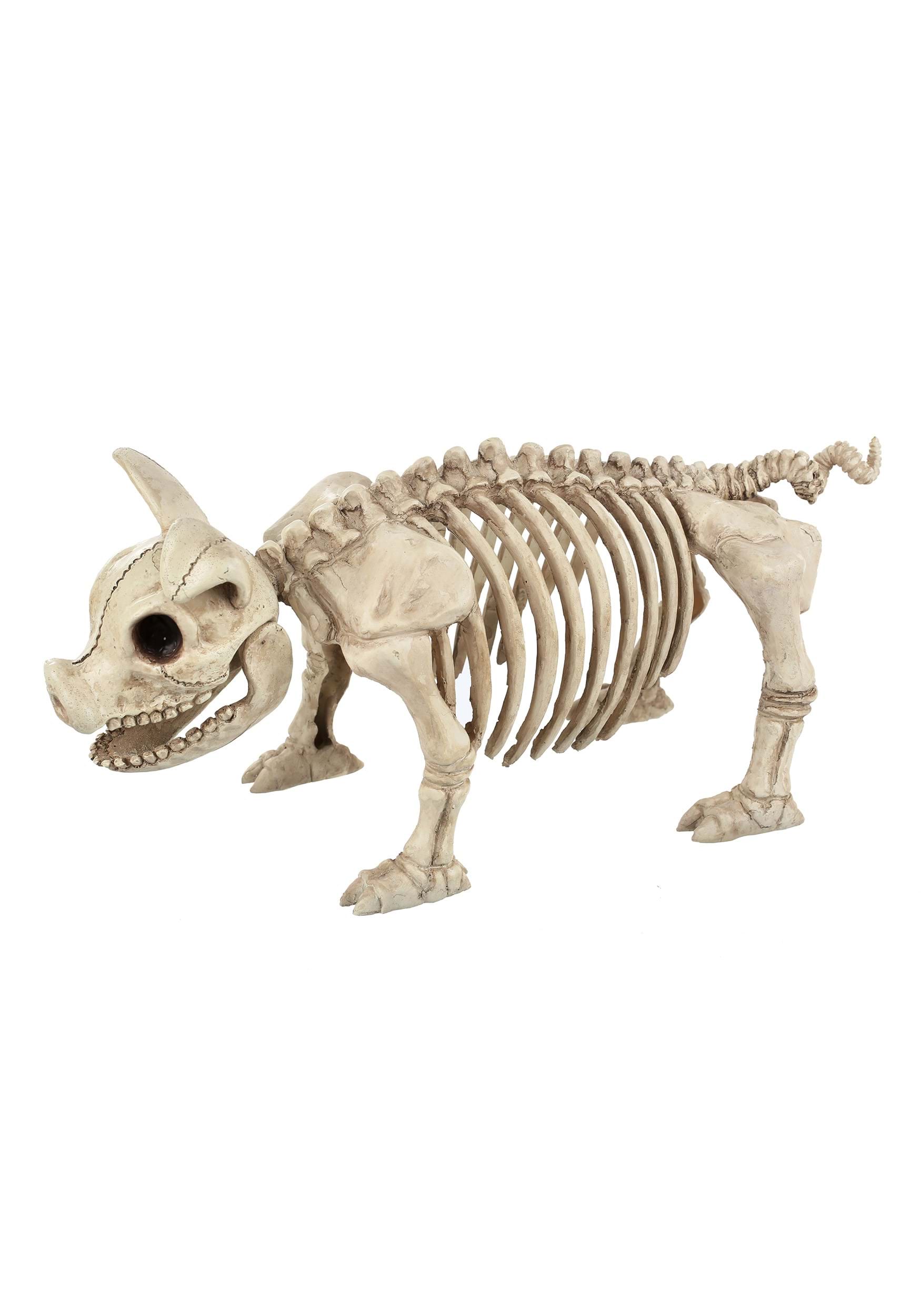 14.75-Inch Pig Skeleton Bonez Decoration