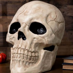 18.5 Inch Giant Skull Prop