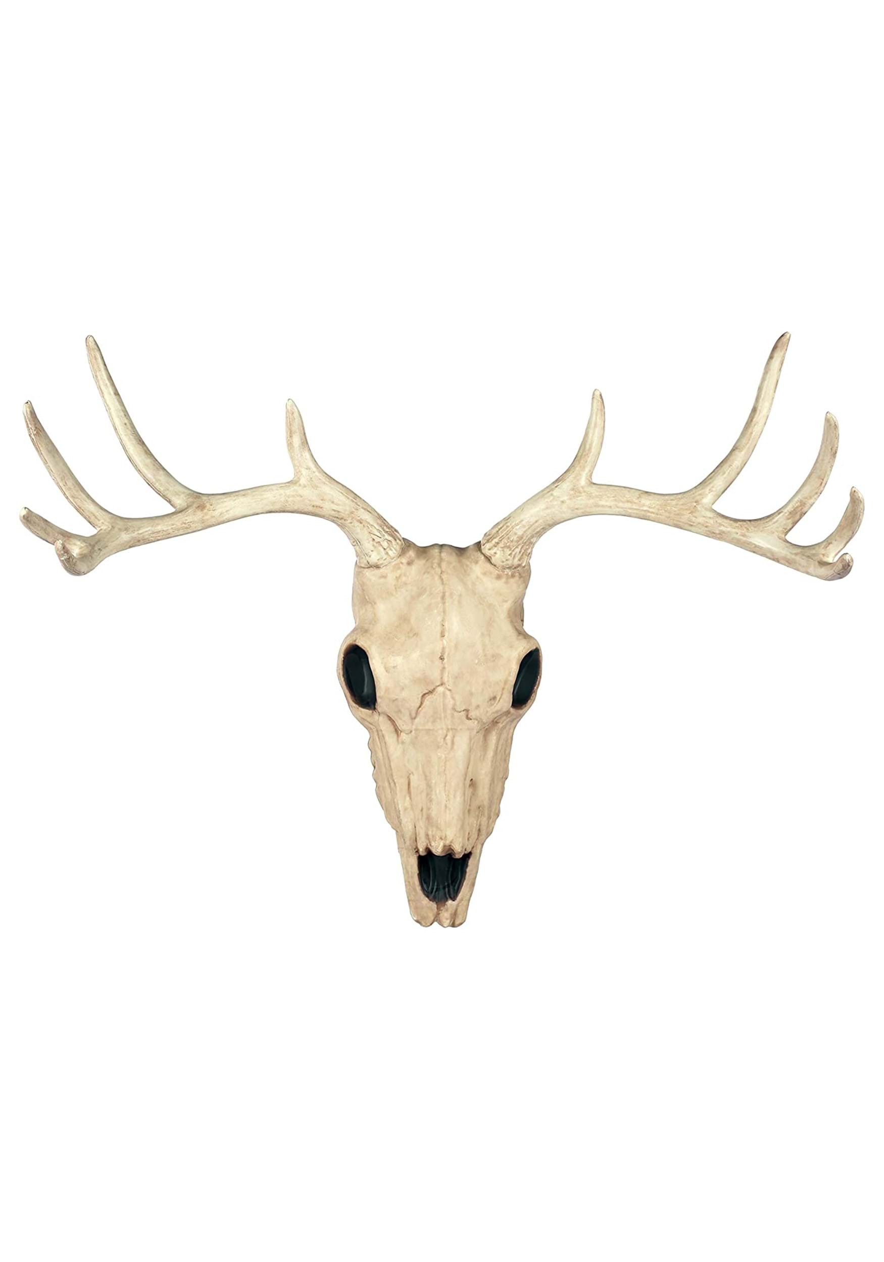 21-Inch Buck Skull Prop Decoration