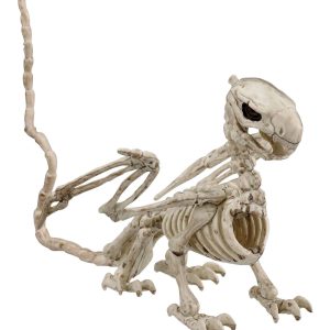 5.5-Inch Griffin Skeleton Decoration