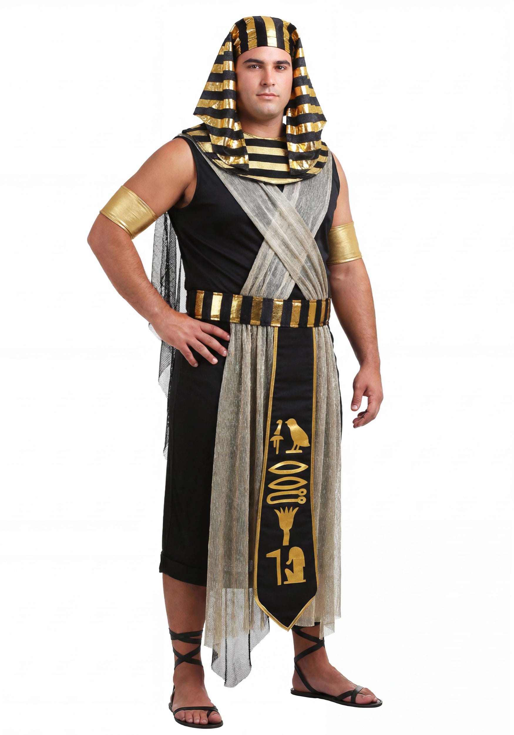 Men's All Powerful Pharaoh Plus Size Costume